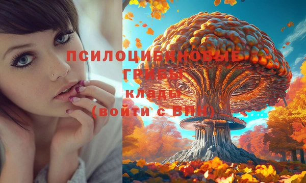 ALPHA-PVP Кодинск