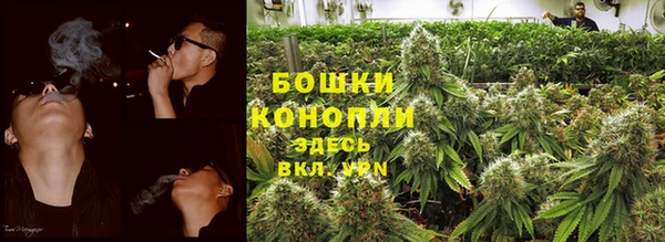 бошки Козельск