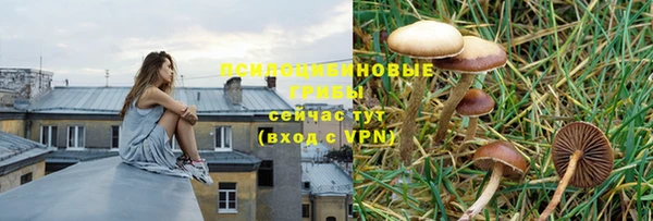 ALPHA-PVP Кодинск