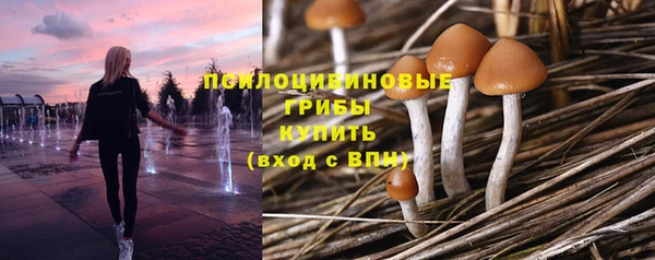 бошки Козельск