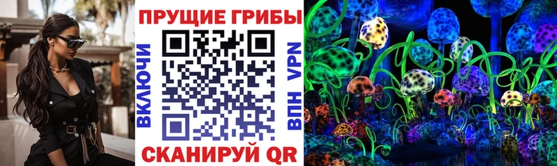 Купить где  Ликино-Дулёво  Галлюциногенные грибы мицелий 