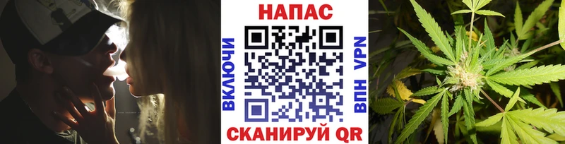 Каннабис OG Kush  Купить где  Ликино-Дулёво 